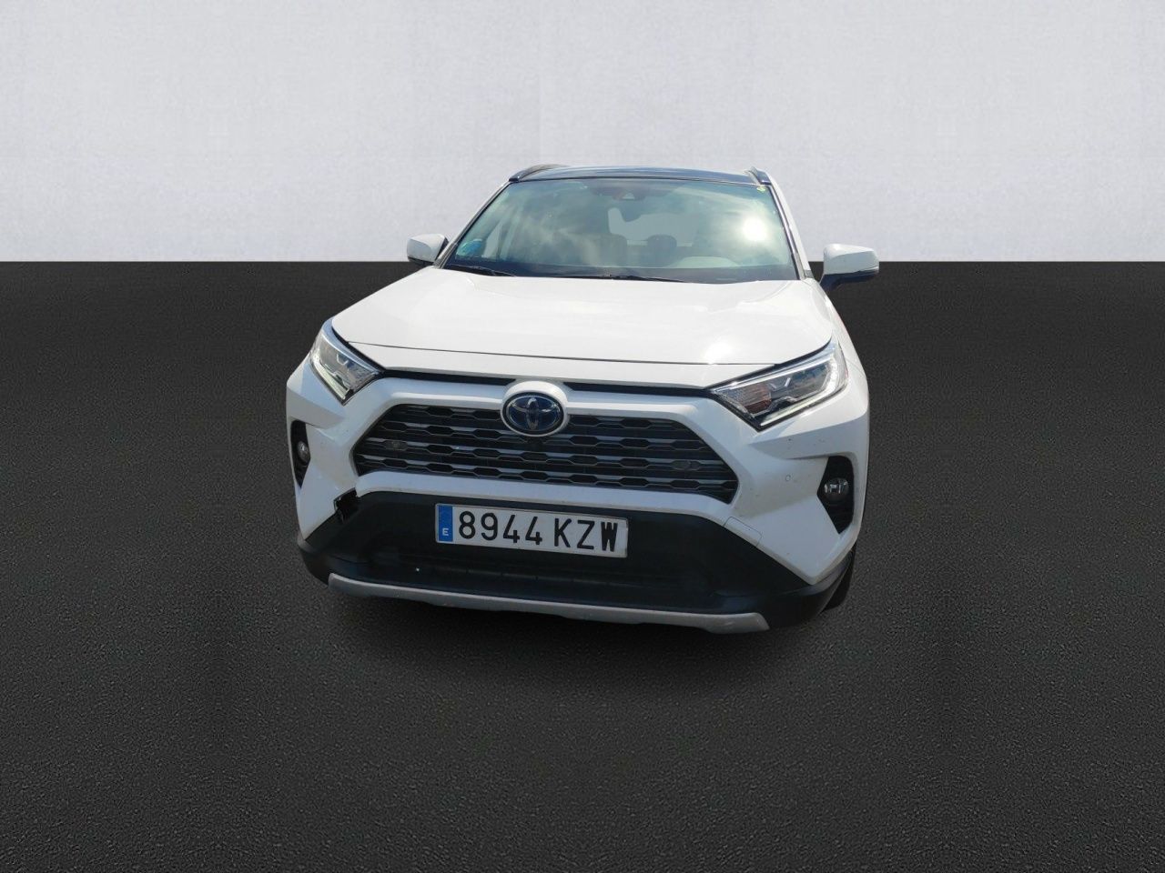 toyota rav4 2019 / foto grande (2)