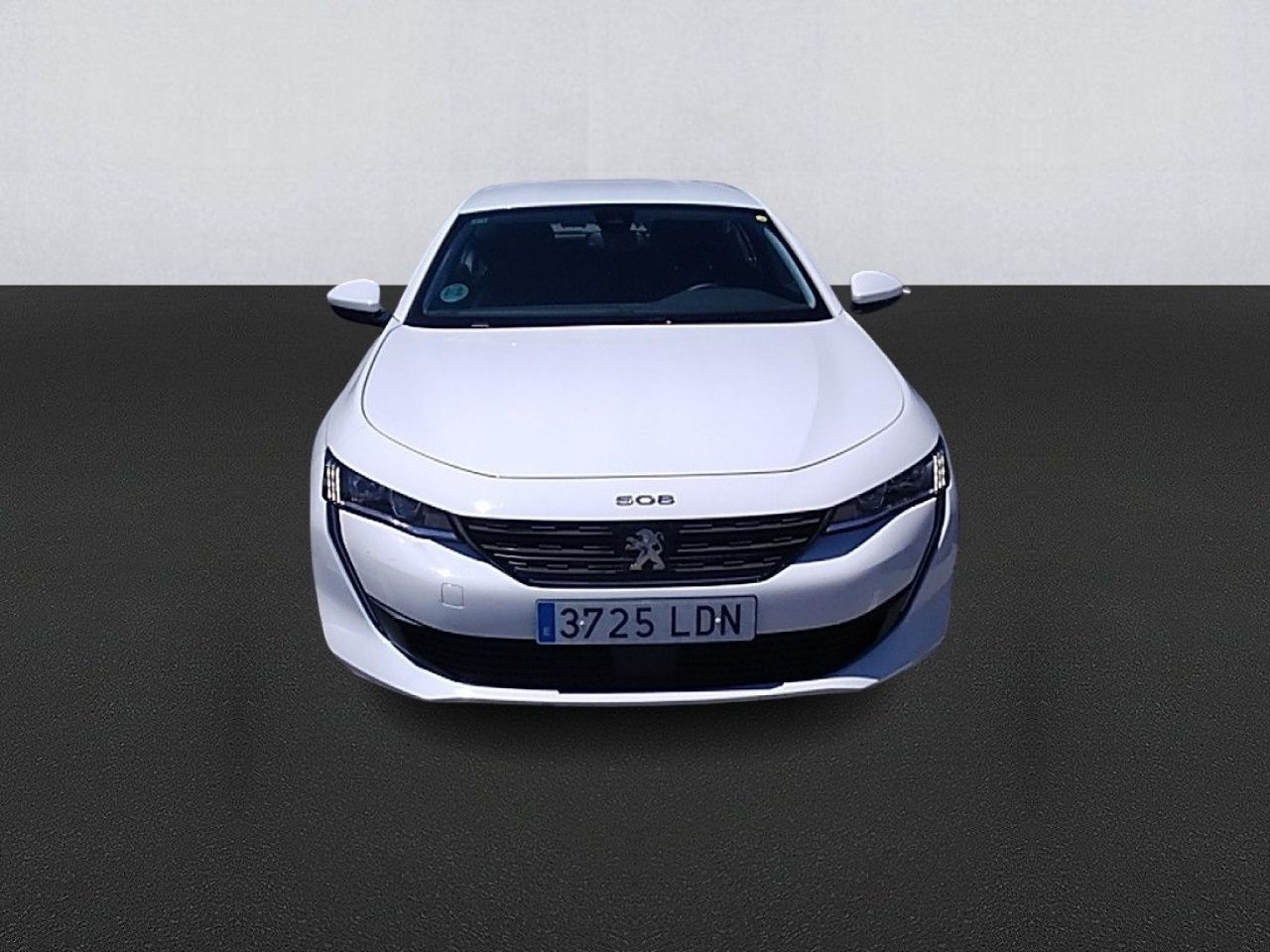 peugeot 508 2019 / foto grande (2)