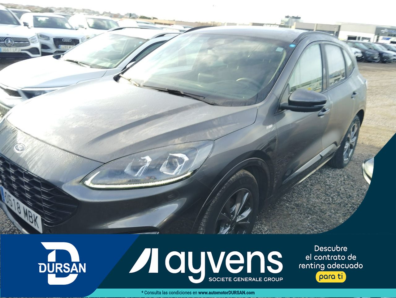 Ford Kuga (O) ST-Line 1.5 EcoBlue 88kW (120CV)