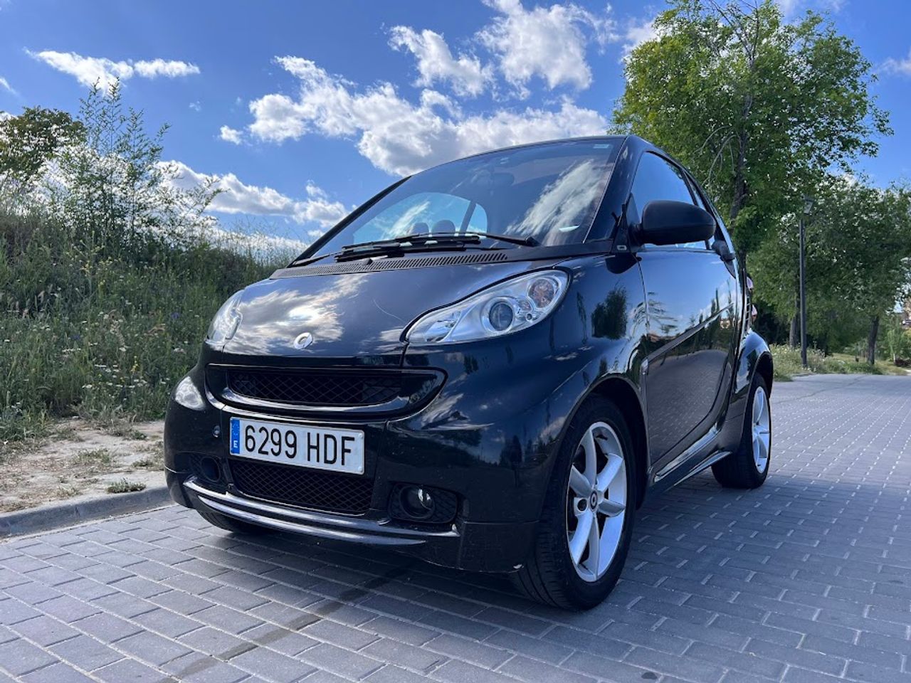 smart fortwo 2011 / foto grande (3)