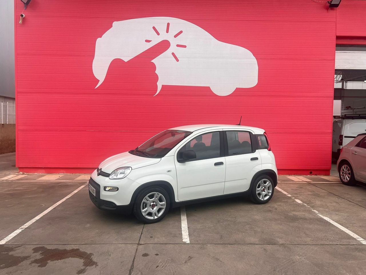 fiat panda 2024 / foto grande (3)