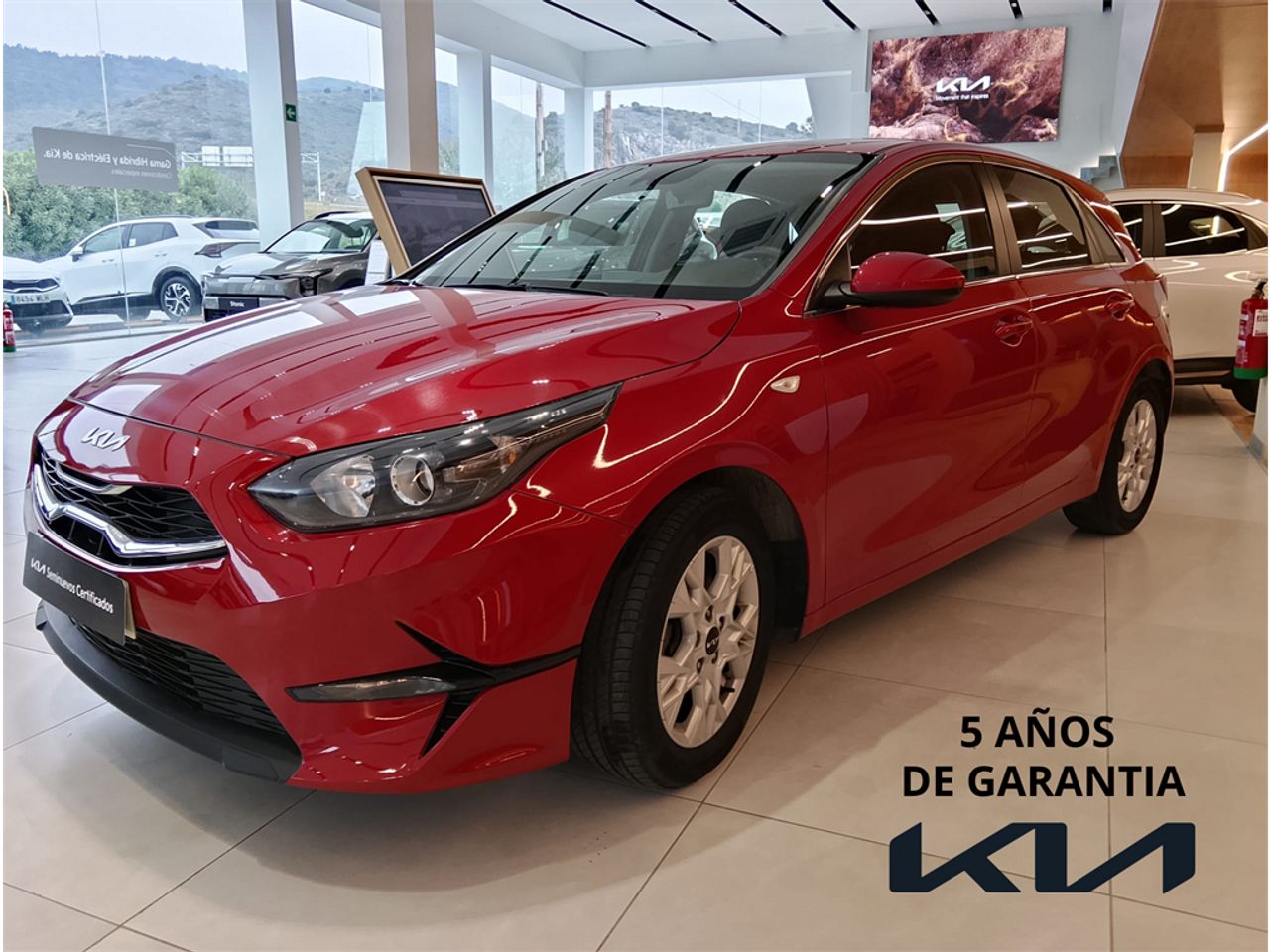 Brugt Kia Ceed 1.0