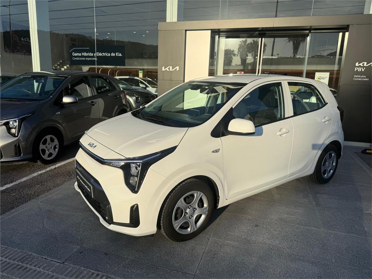 Brugt Kia Picanto 1.0