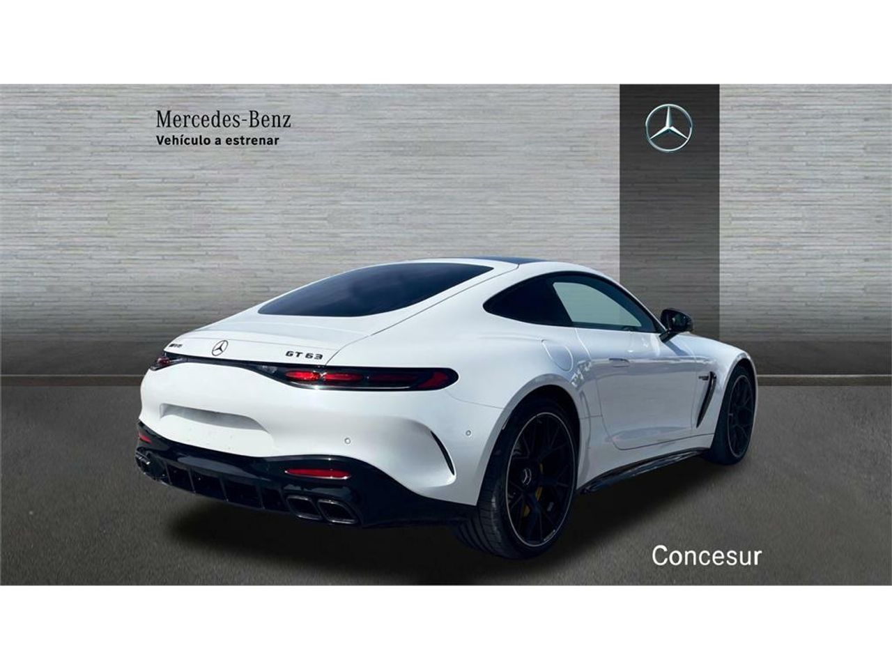 mercedes amg-gt  mercedes-amg gt 63 4matic+ foto grande (2)