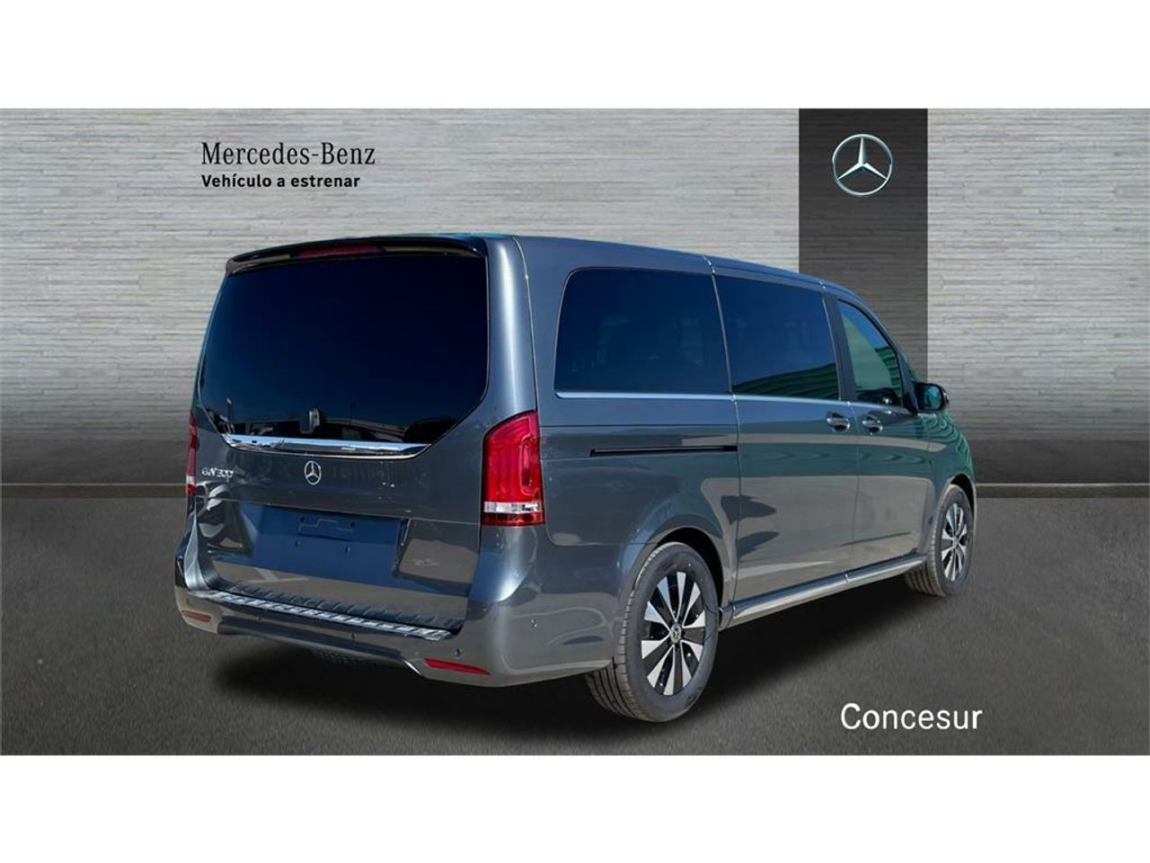 mercedes eqv eqv 300 largo foto grande (2)