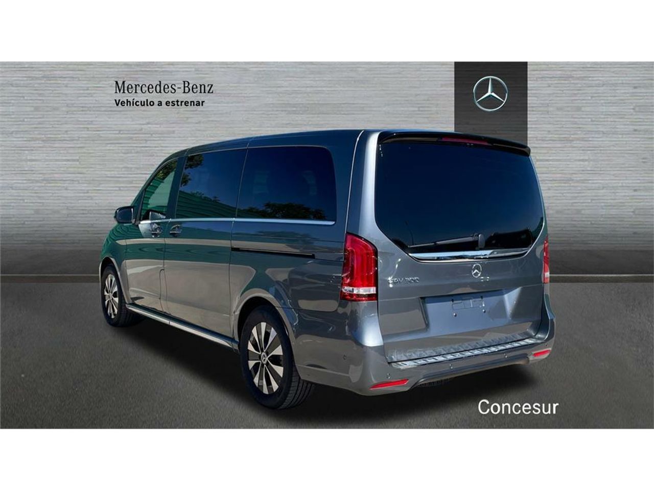mercedes eqv eqv 300 largo foto grande (3)