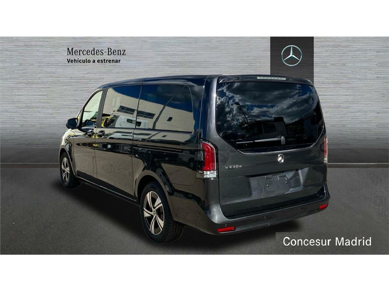 mercedes clase v 250 d style largo foto grande (3)