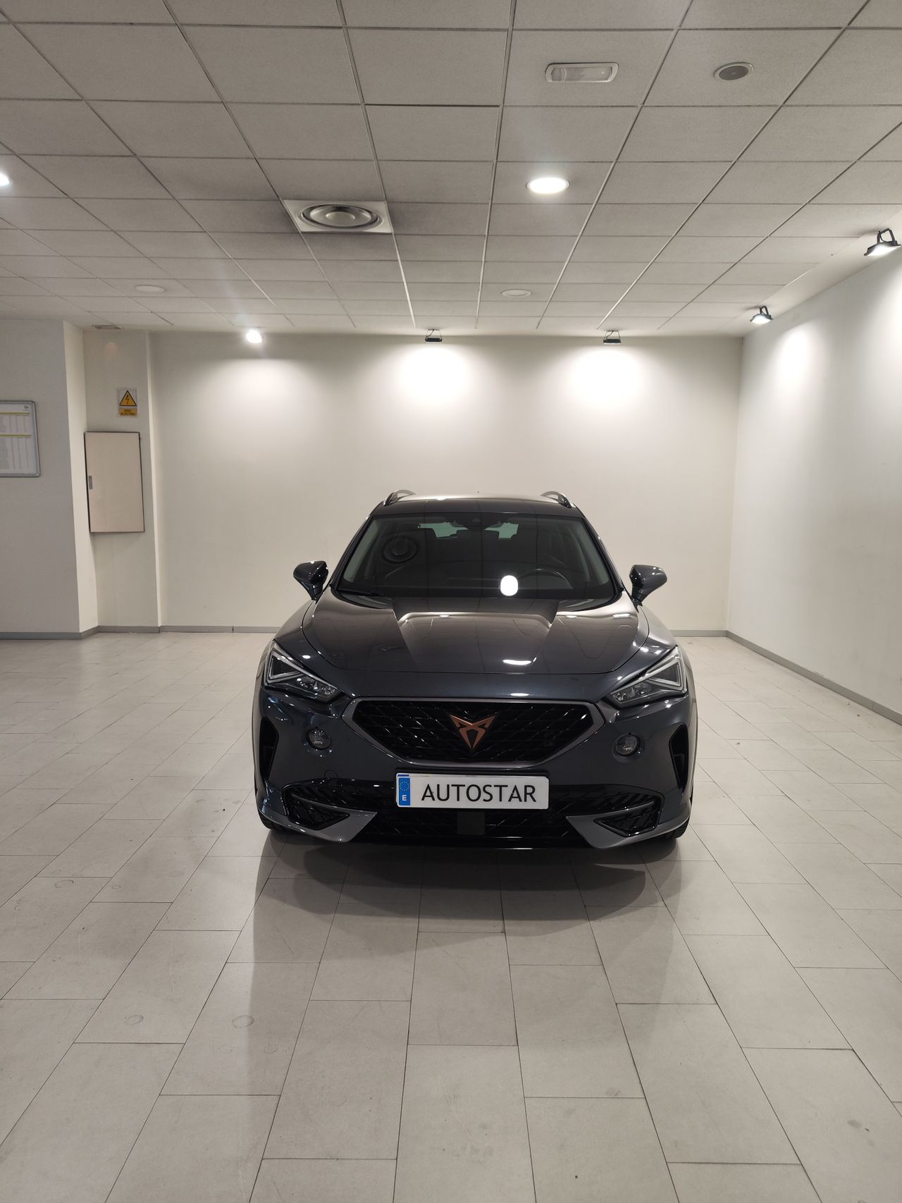 cupra formentor 2022 / foto grande (3)