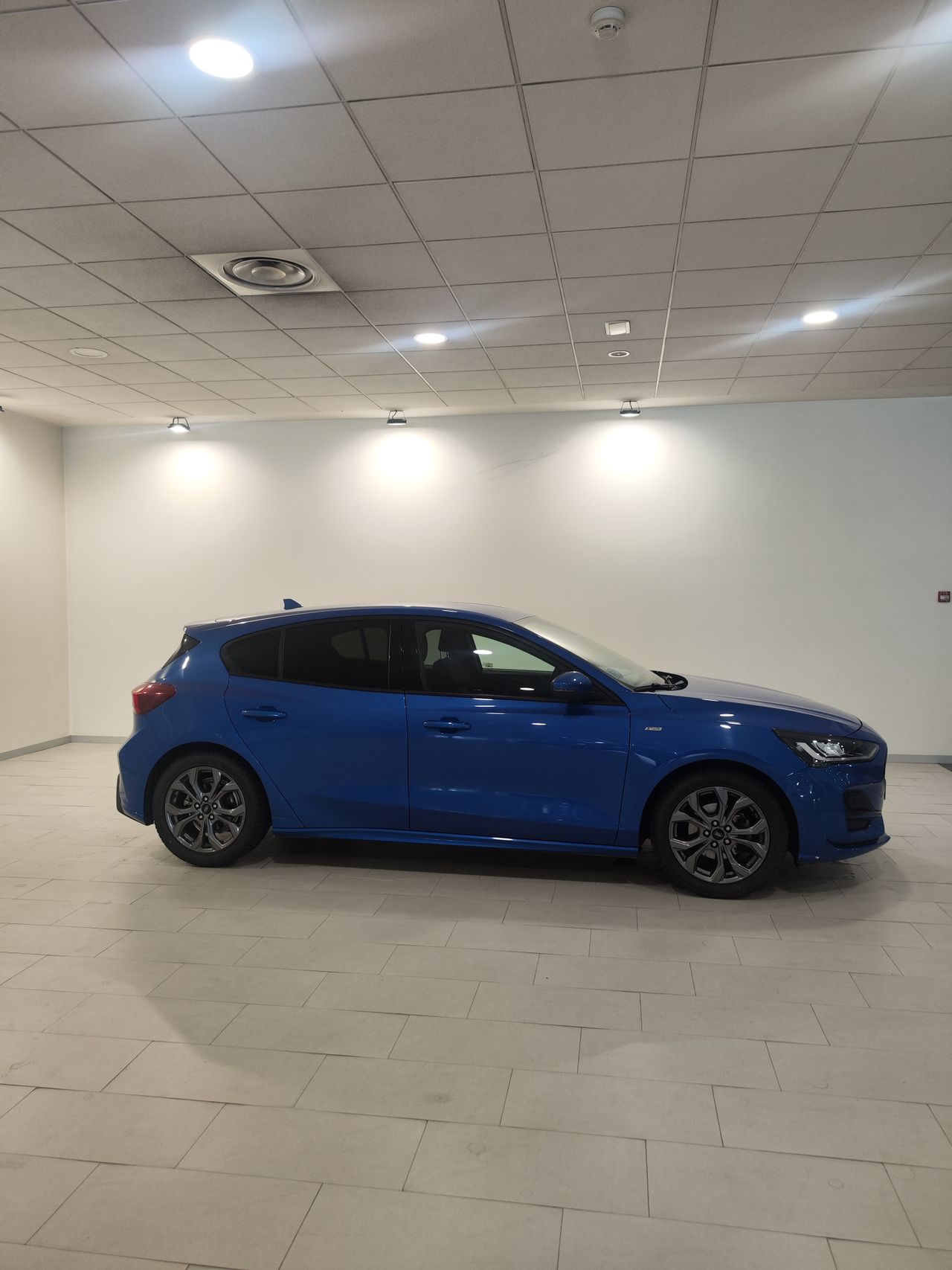 ford focus 2023 / foto grande (2)