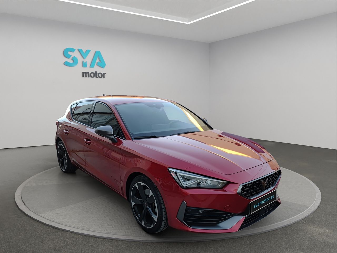 Brugt Cupra Leon 