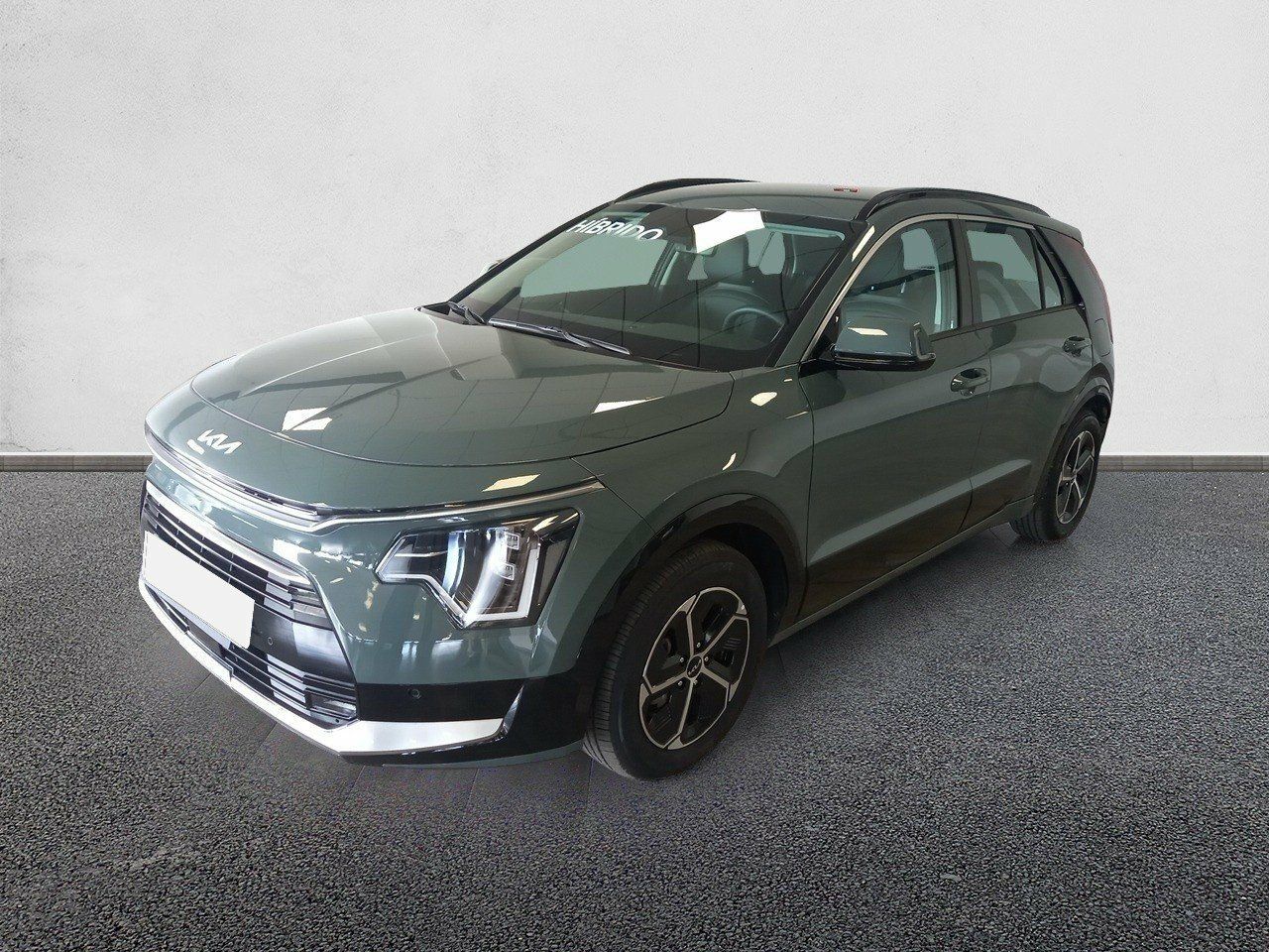 kia niro 2023 / foto grande (2)