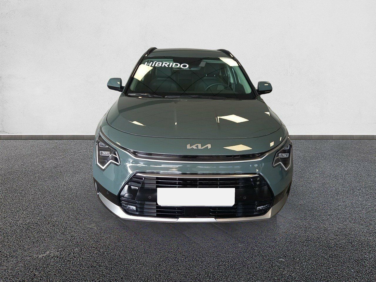kia niro 2023 / foto grande (3)