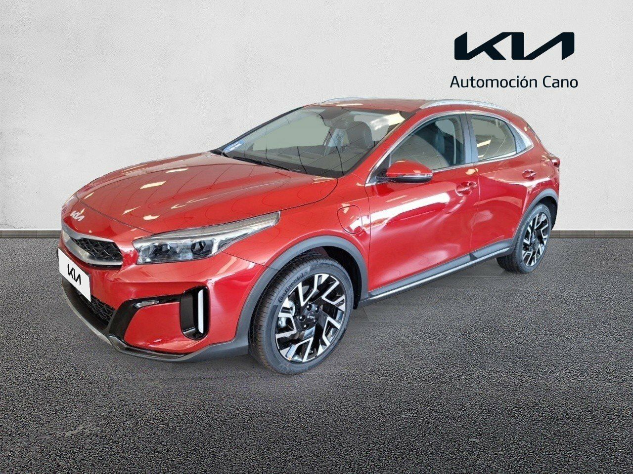 kia xceed 2024 / foto grande (2)