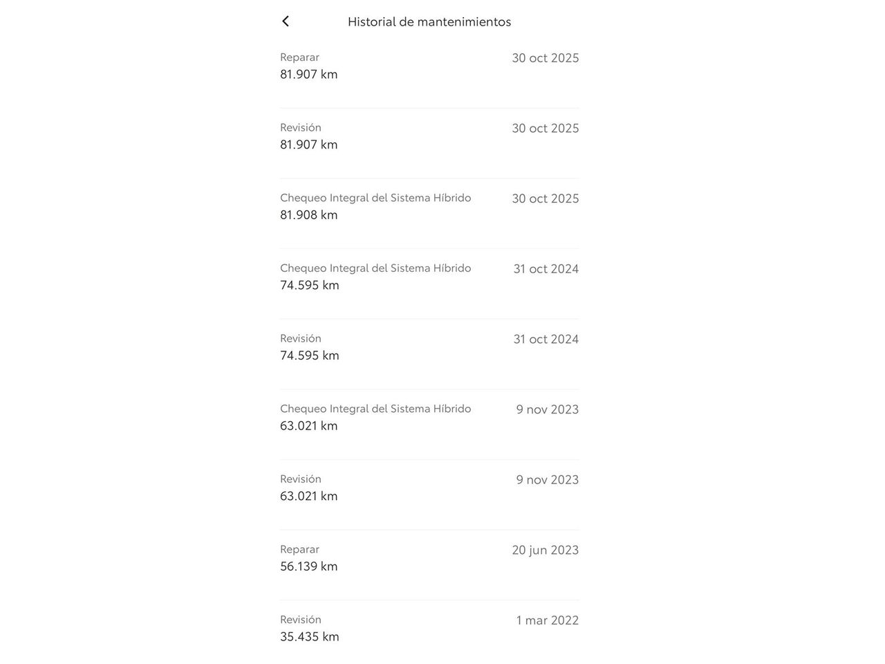 Toyota Rav4 Hybrid 4x2 Advance - foto 23