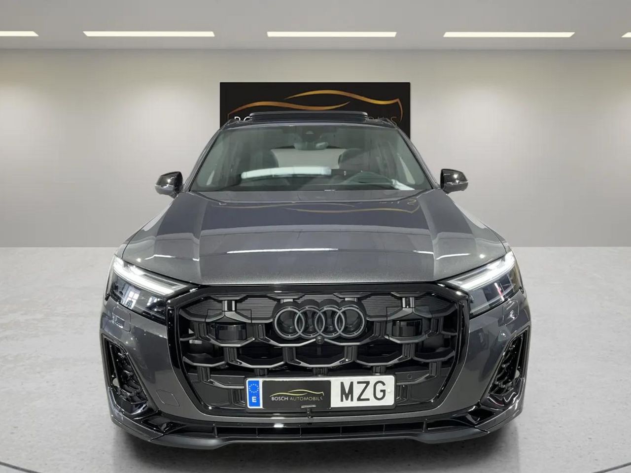 audi q7 2025 / foto grande (2)