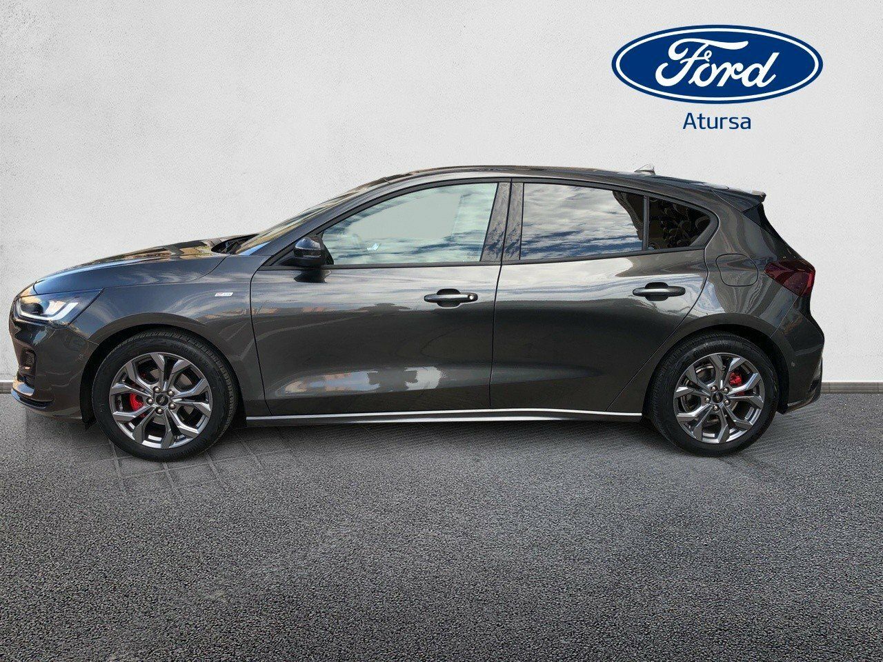 ford focus 2022 / foto grande (3)