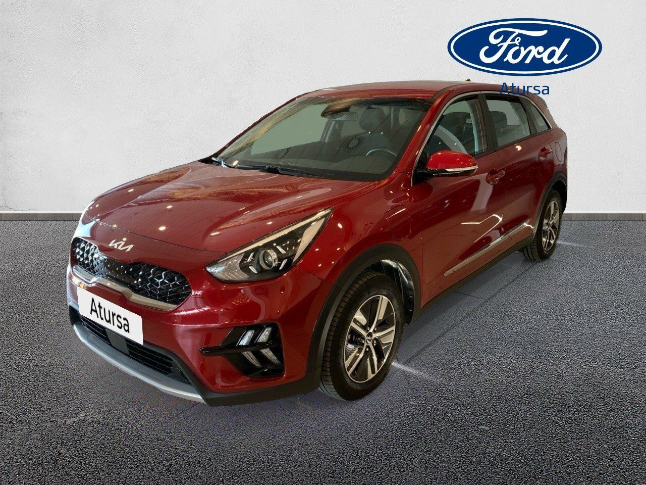 kia niro 2022 / foto grande (2)