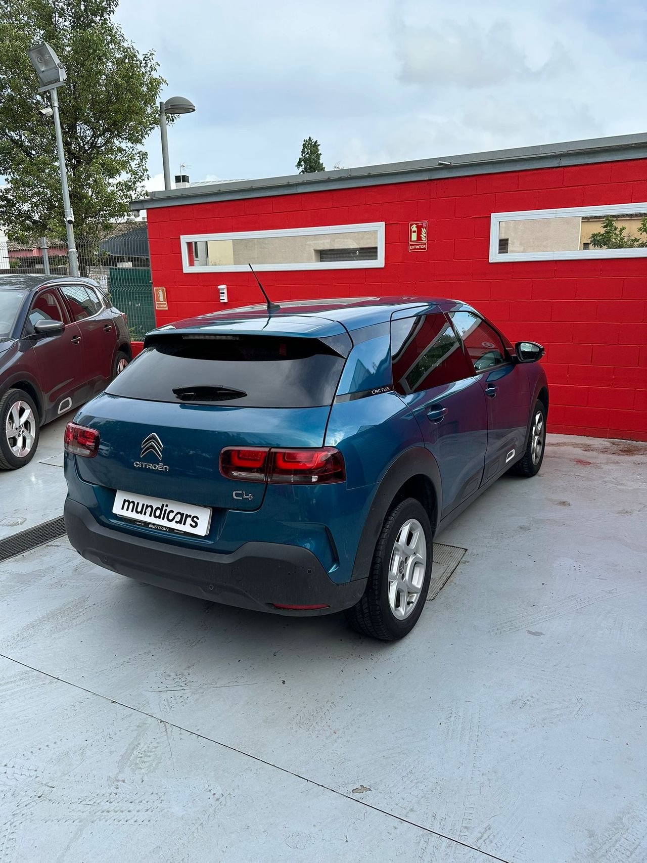 Citroën C4 Cactus PureTech 110 S&S Shine - Foto 12