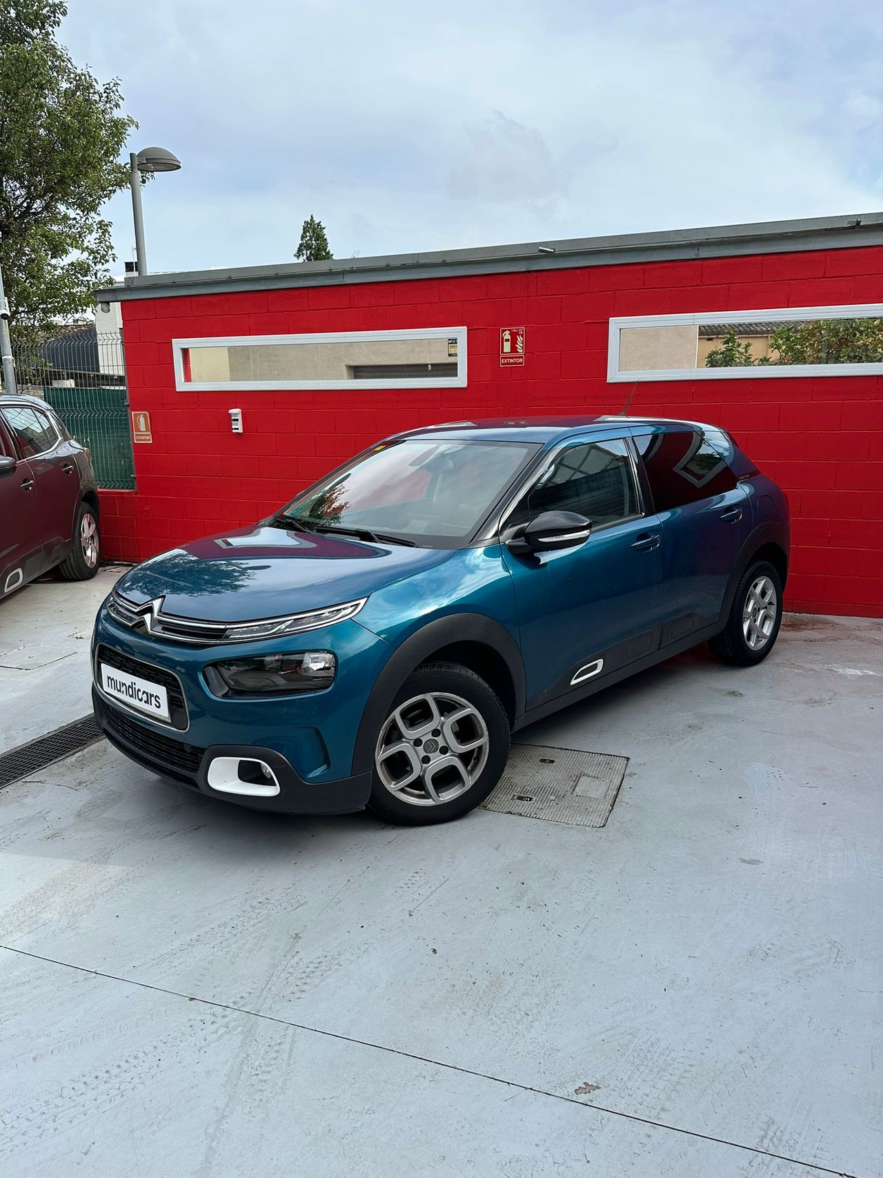 Citroën C4 Cactus PureTech 110 S&S Shine - Foto 8