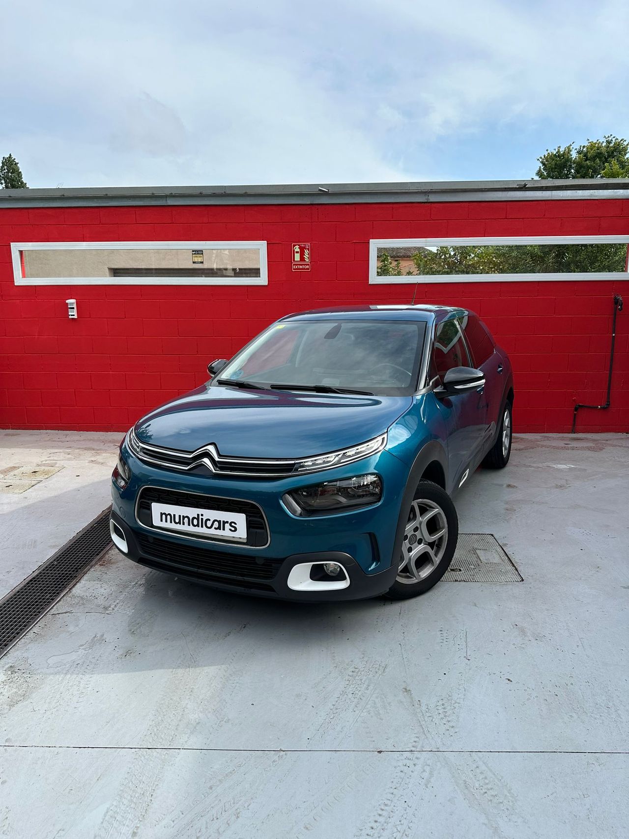 Citroën C4 Cactus PureTech 110 S&S Shine - Foto 13