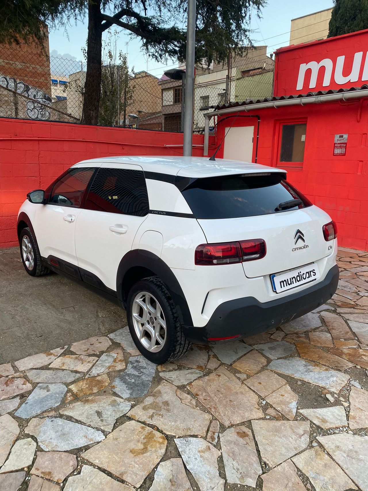 Citroën C4 Cactus PureTech 81KW (110CV) S&S EAT6 Feel - Foto 14