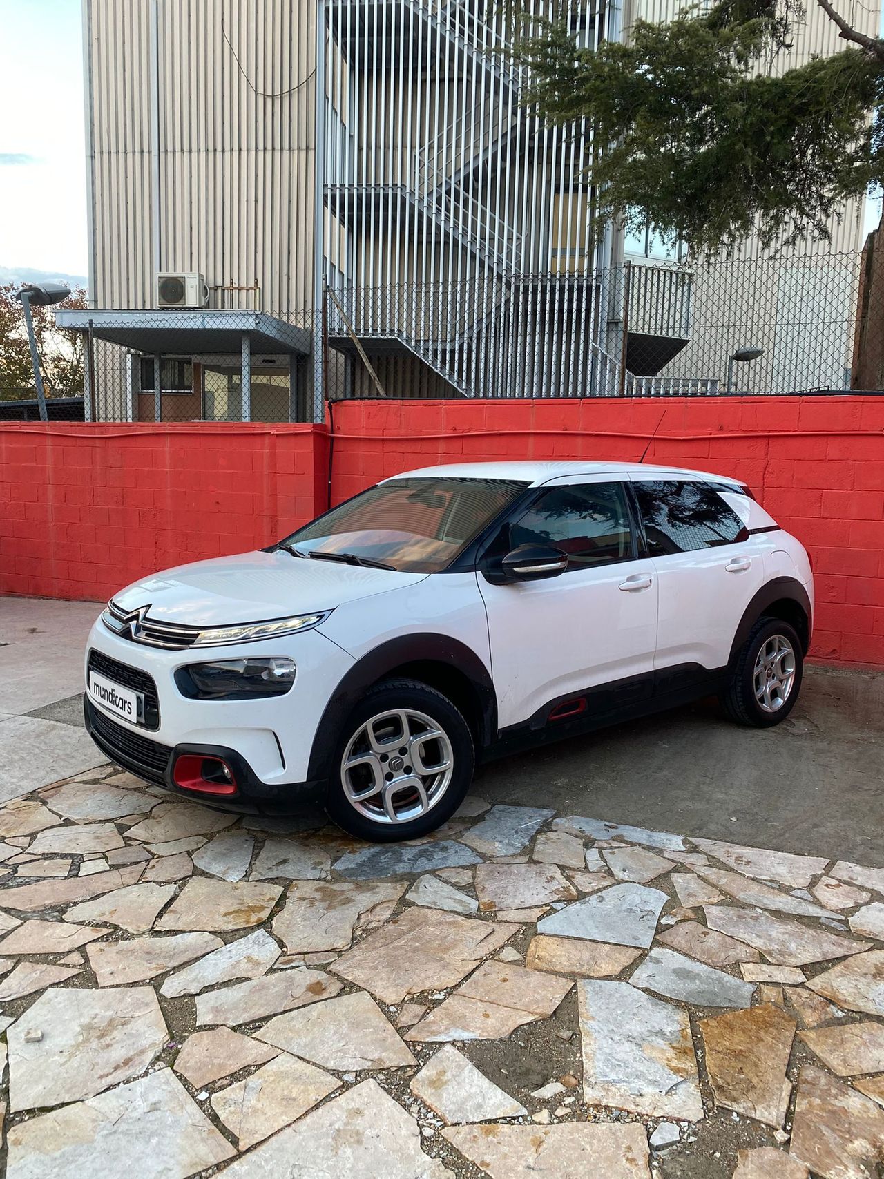 Citroën C4 Cactus PureTech 81KW (110CV) S&S EAT6 Feel - Foto 7