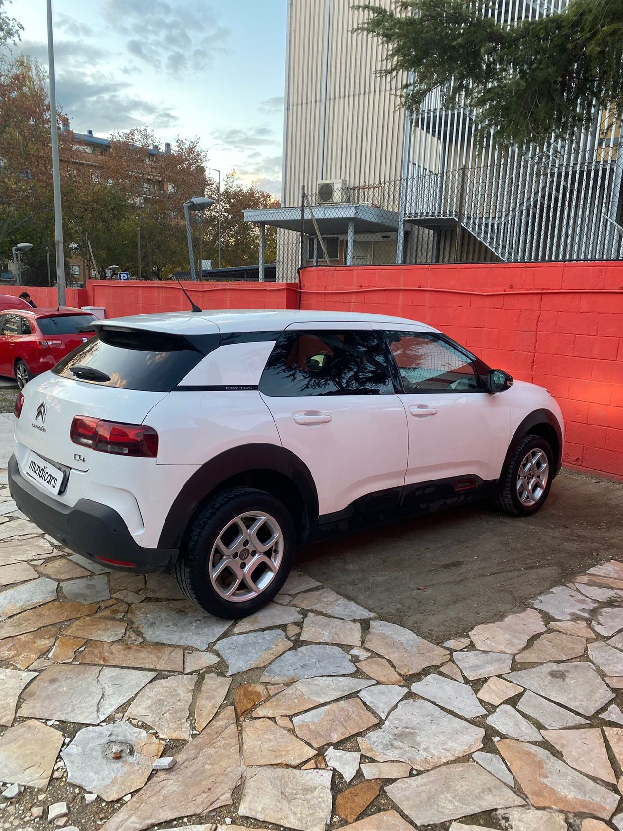 Citroën C4 Cactus PureTech 81KW (110CV) S&S EAT6 Feel - Foto 13