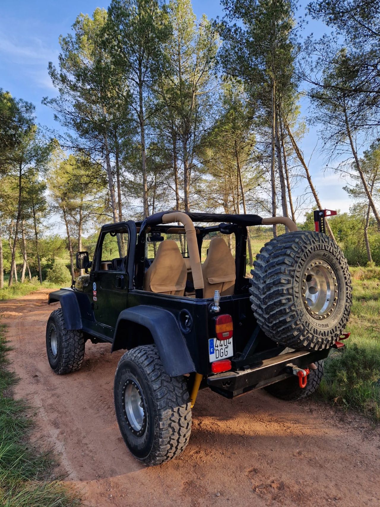 Jeep Wrangler 4.0 HARD TOP AUTO - Foto 5