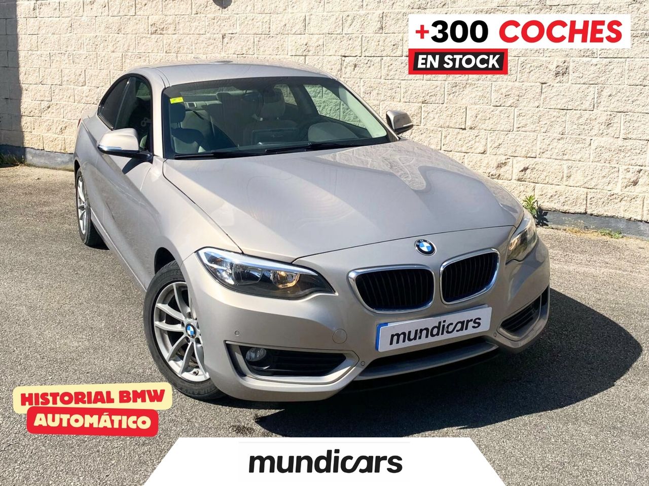 BMW Serie 2 220dA xDrive - Foto 2