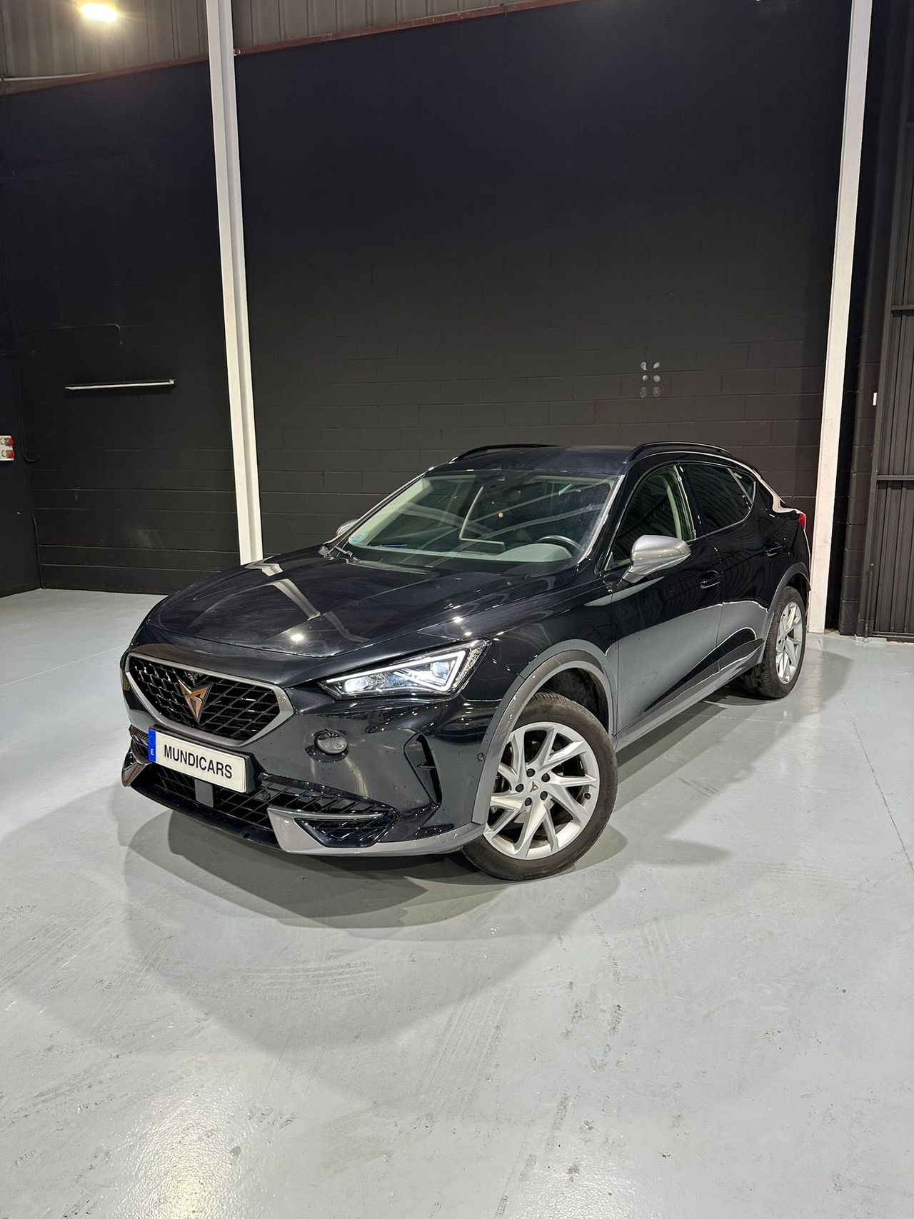 Cupra Formentor 1.5 TSI 110kW (150 CV) DSG - Foto 6