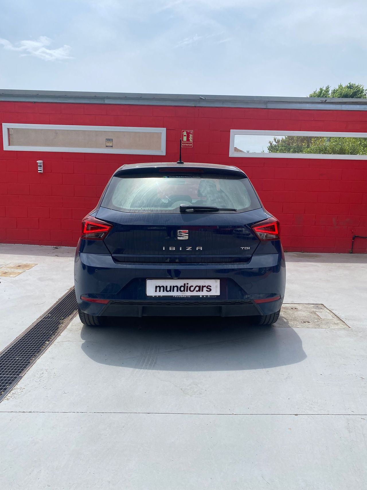 Seat Ibiza 1.0 TGI 66kW (90CV) Xcellence Plus - Foto 9