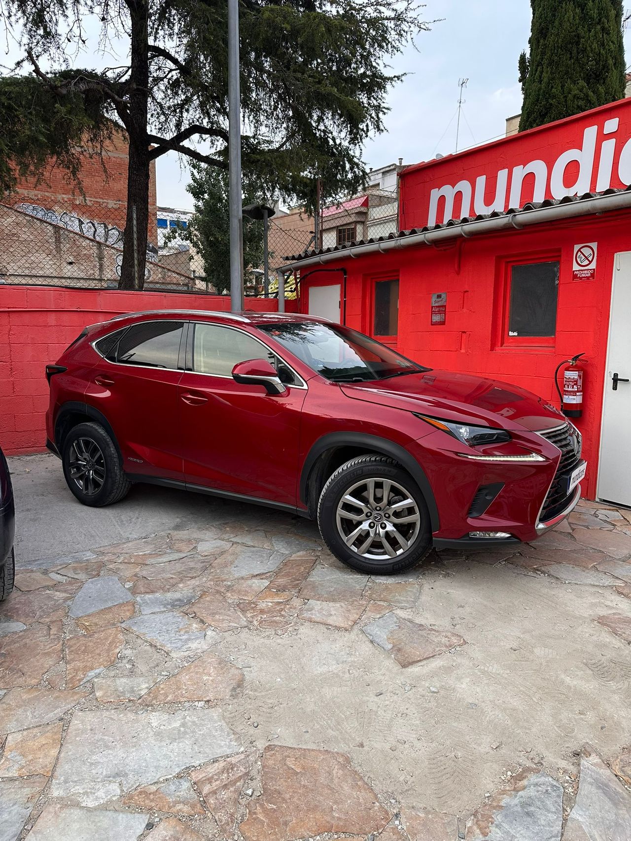 Lexus NX 2.5 300h Business Navigation 2WD - Foto 3