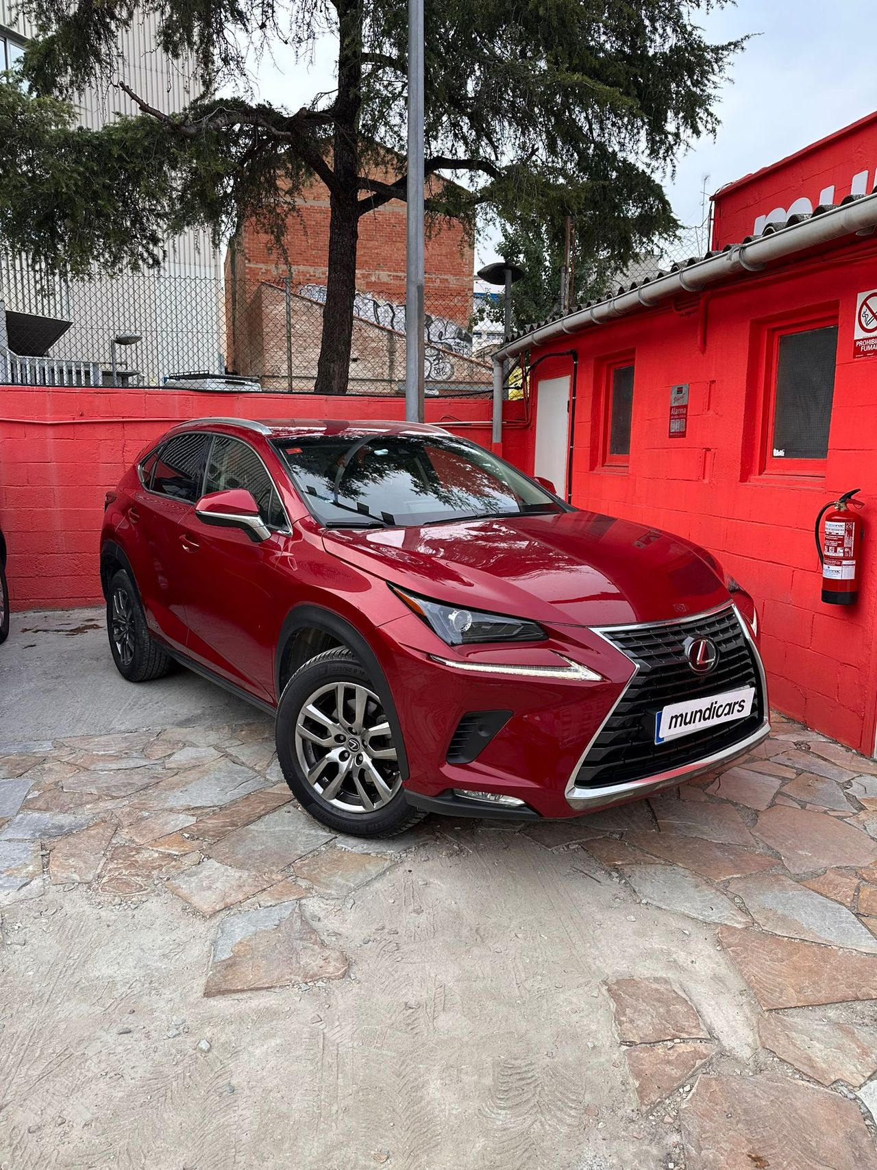 Lexus NX 2.5 300h Business Navigation 2WD - Foto 7