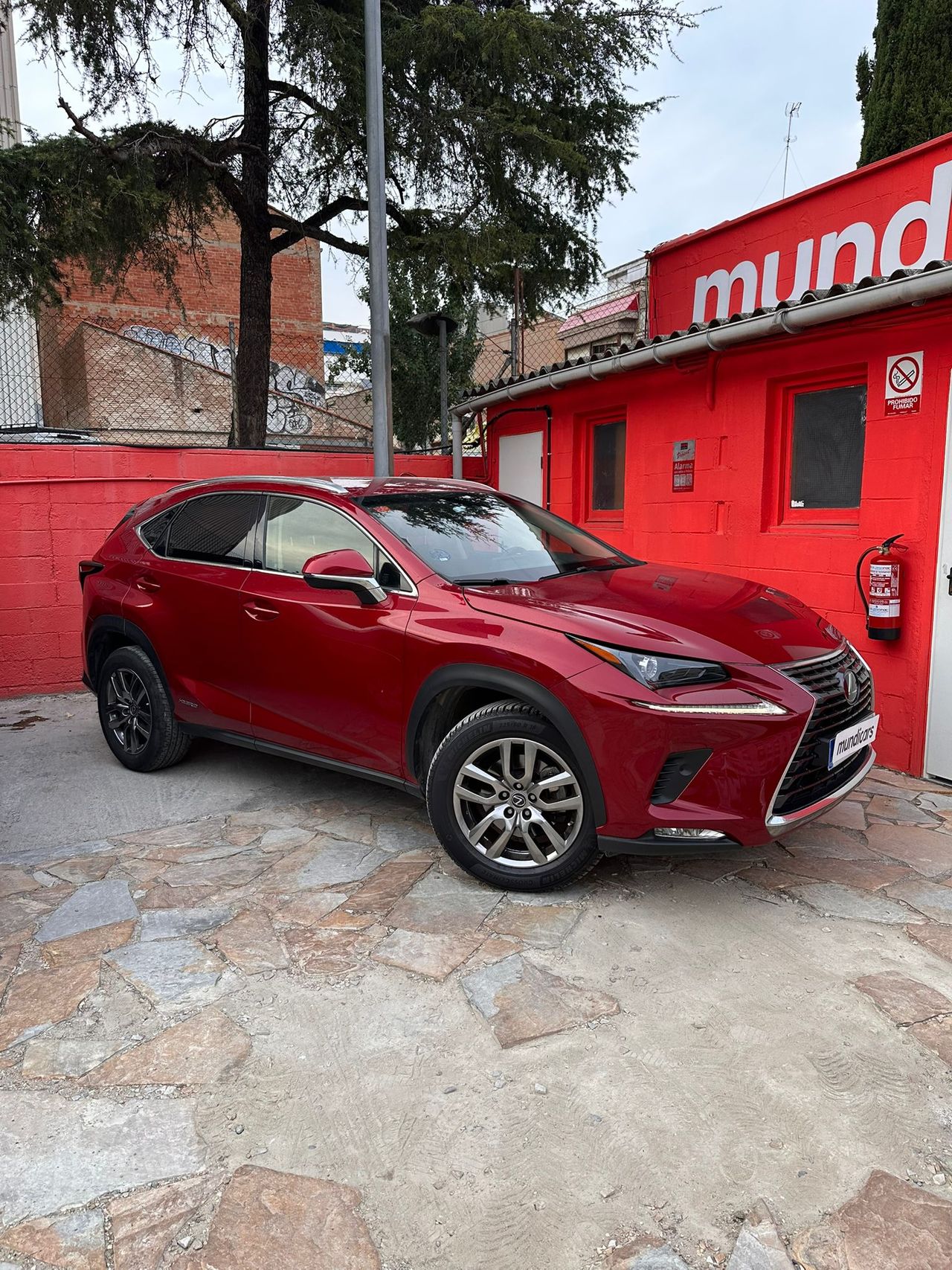 Lexus NX 2.5 300h Business Navigation 2WD - Foto 4