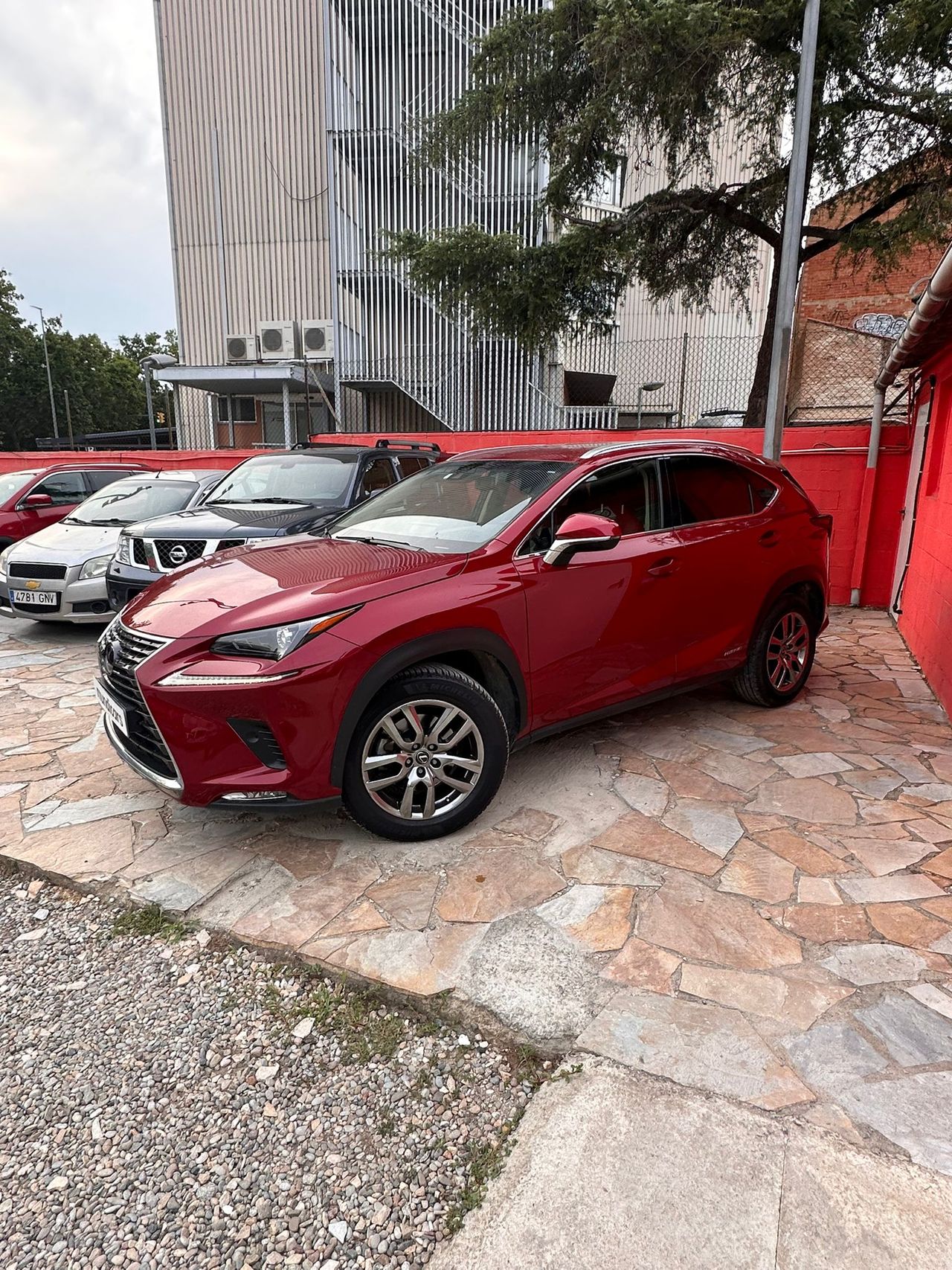 Lexus NX 2.5 300h Business Navigation 2WD - Foto 9