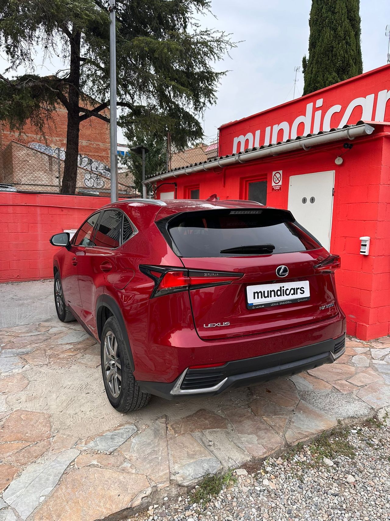 Lexus NX 2.5 300h Business Navigation 2WD - Foto 13
