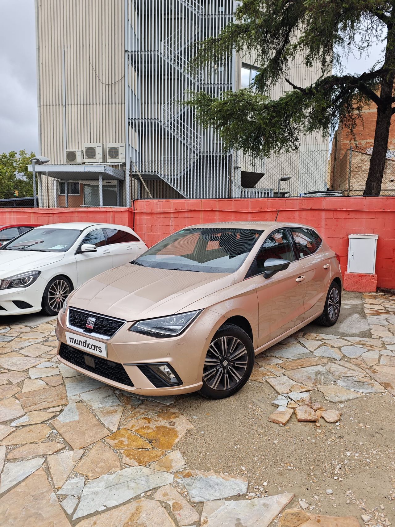 Seat Ibiza 1.0 EcoTSI 70kW (95CV) Xcellence - Foto 8