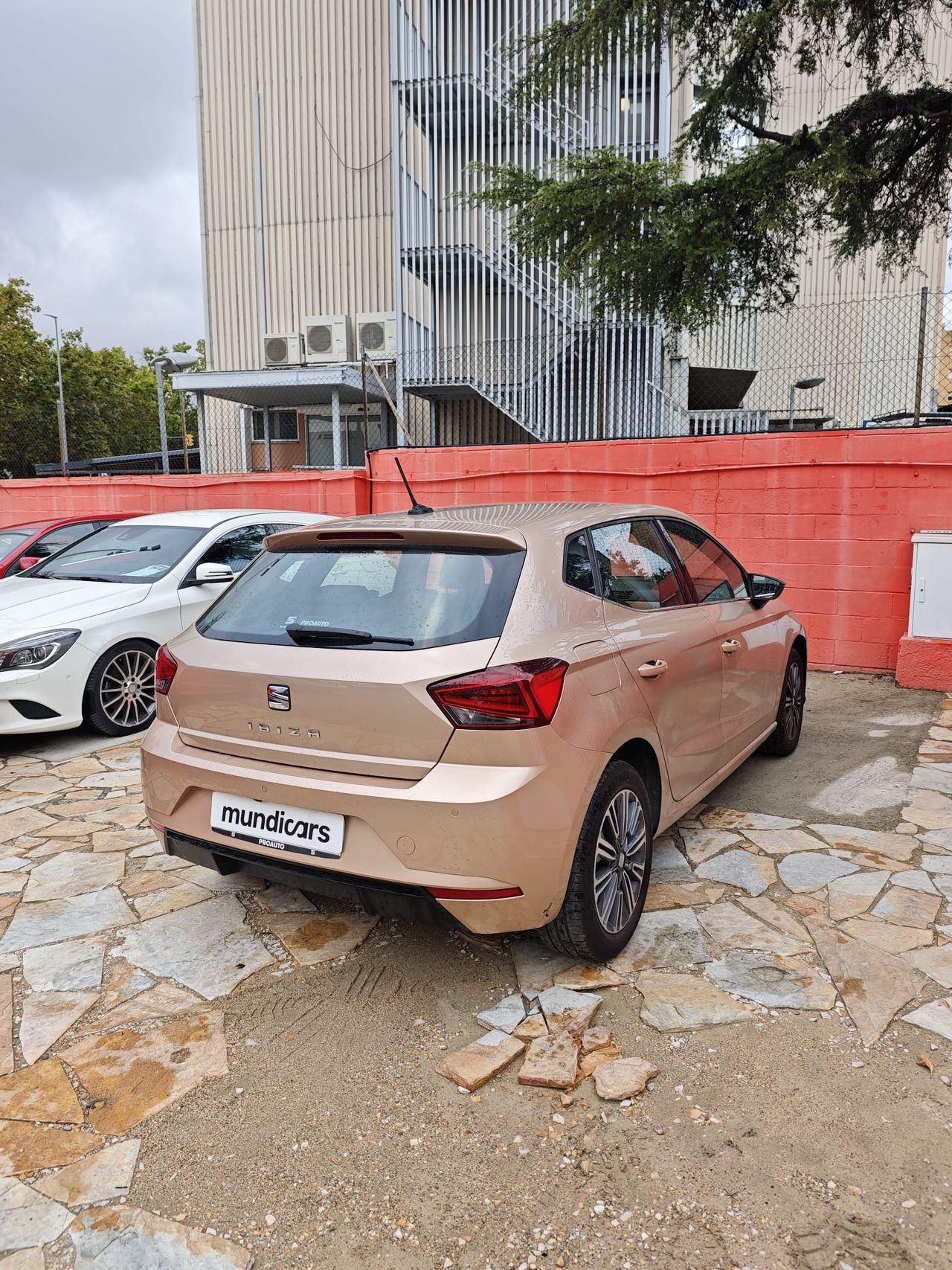 Seat Ibiza 1.0 EcoTSI 70kW (95CV) Xcellence - Foto 13