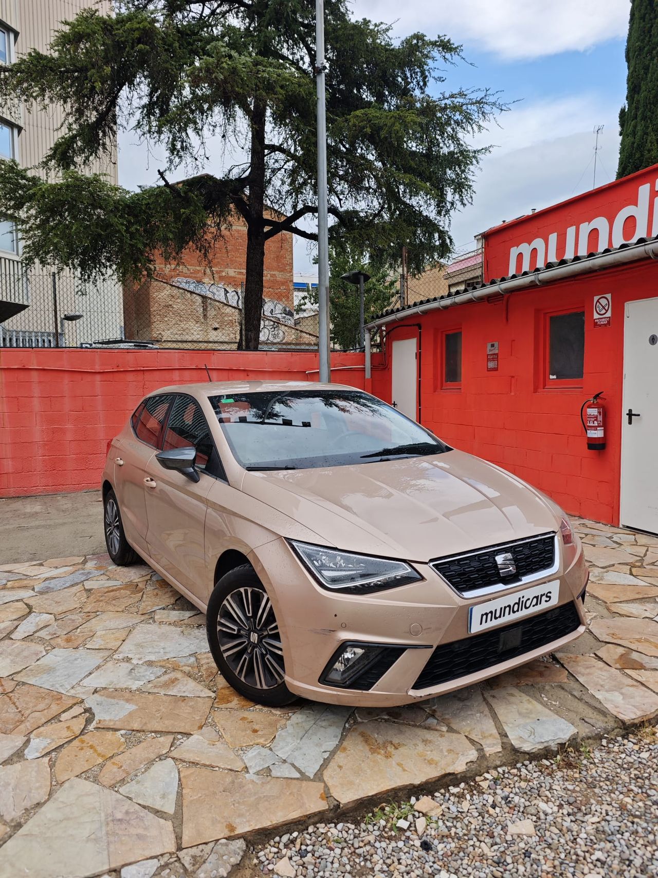Seat Ibiza 1.0 EcoTSI 70kW (95CV) Xcellence - Foto 3