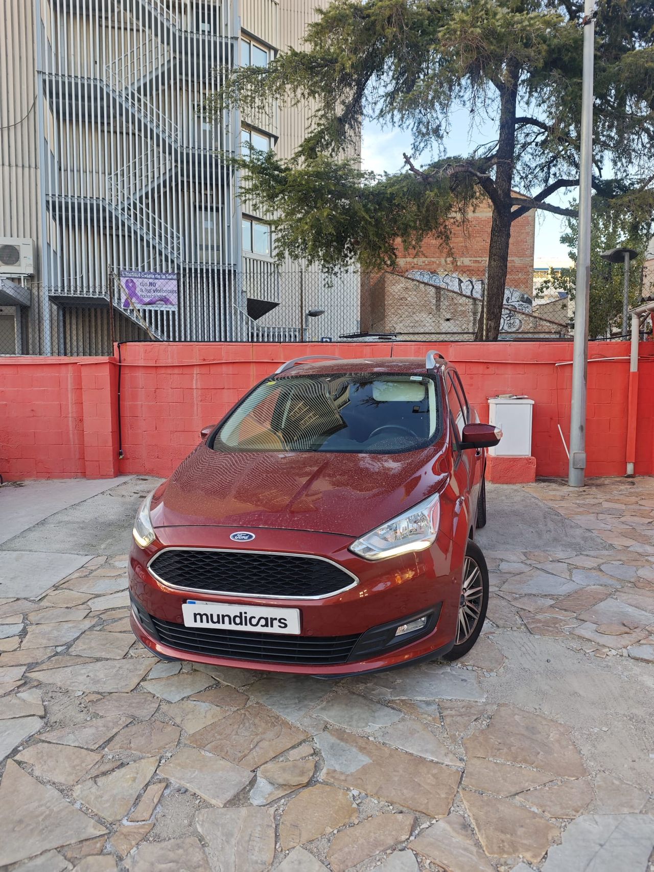 Ford Grand C-MAX 1.0 EcoBoost 125CV Trend+ - Foto 6