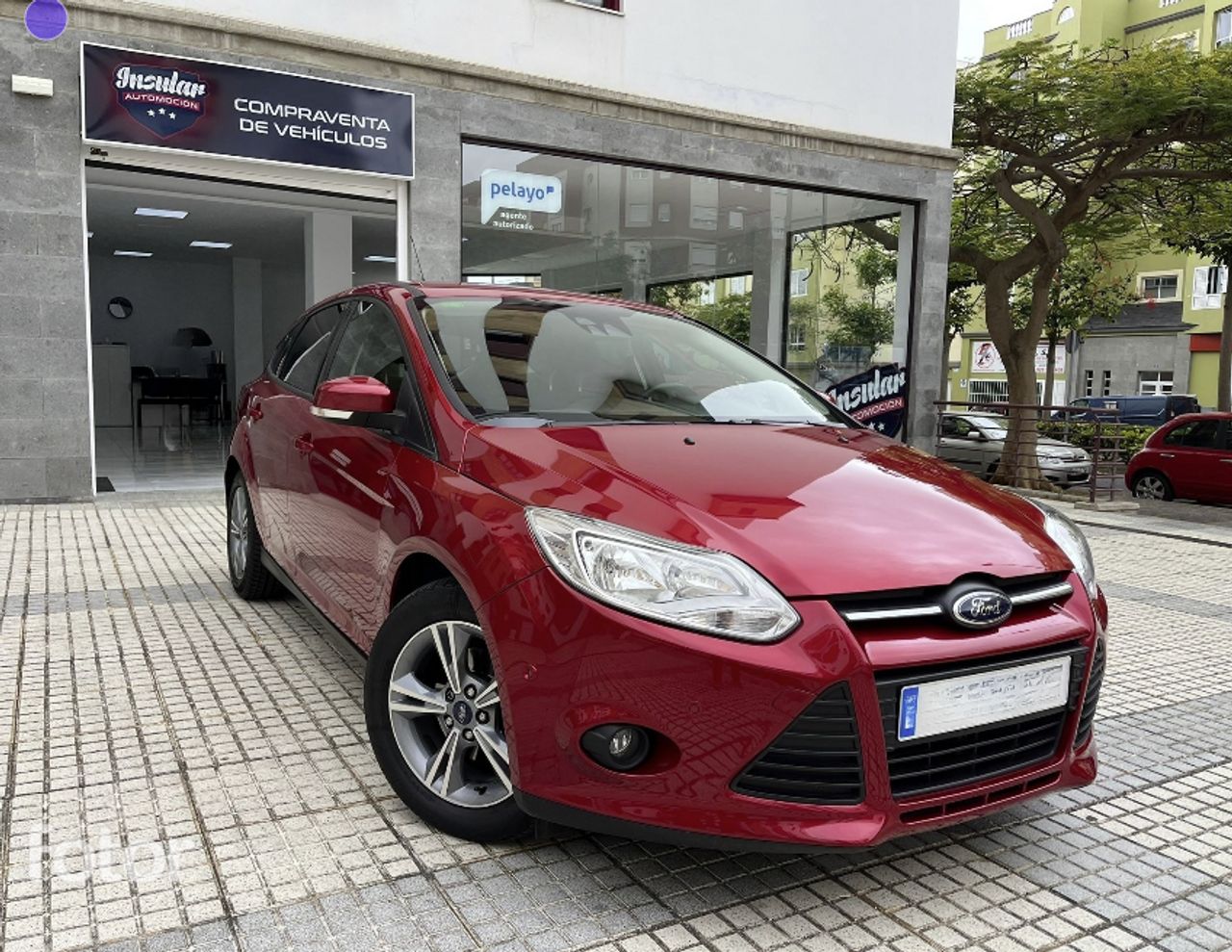 ford focus 2014 /