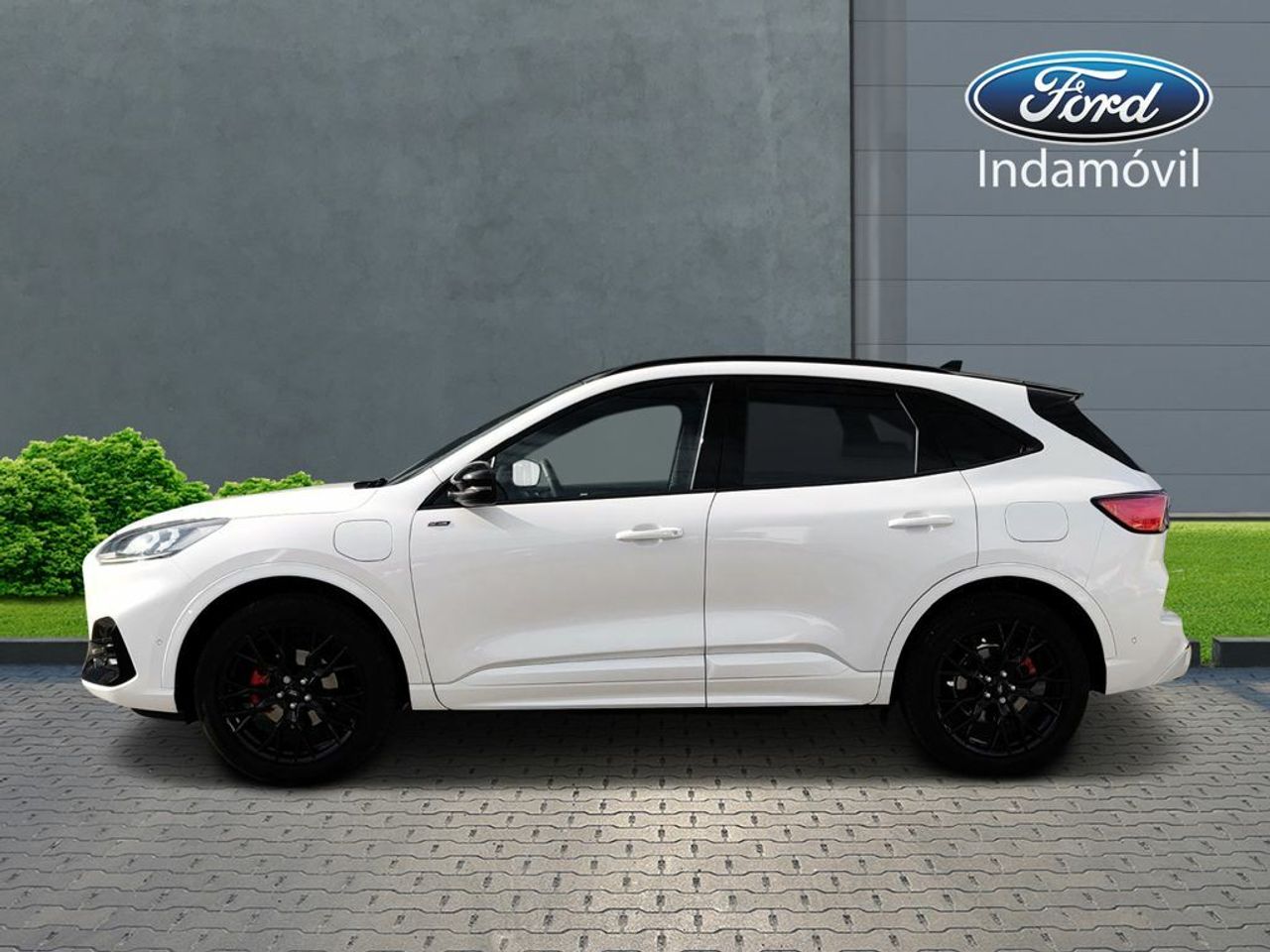 ford kuga 2022 / foto grande (2)