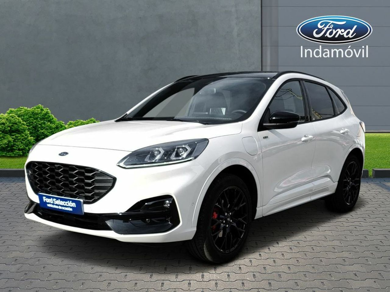 Quot tu  de segunda mano - ford kuga 2022 /