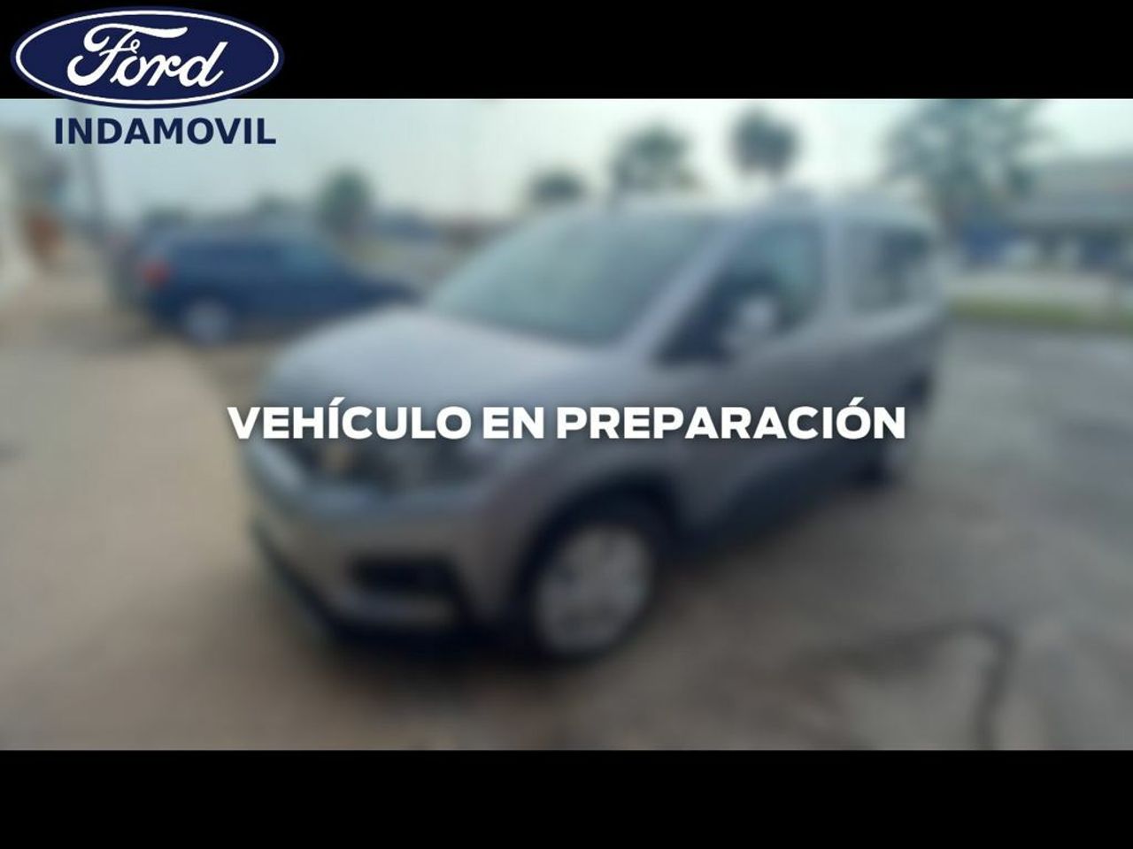 Quot tu  de segunda mano - peugeot rifter 2019 /
