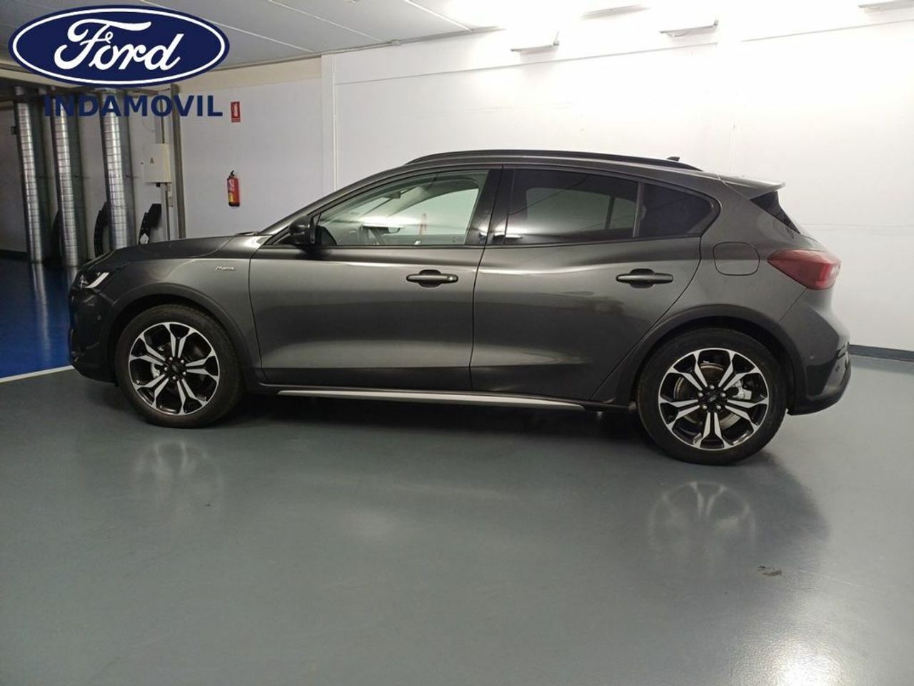 ford focus 2024 / foto grande (2)