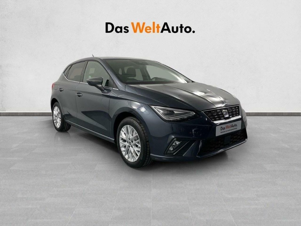 seat ibiza 2024 /