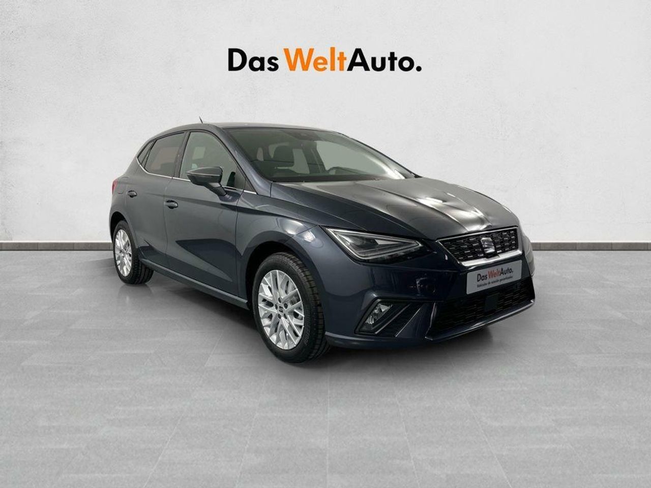 seat ibiza 2024 /