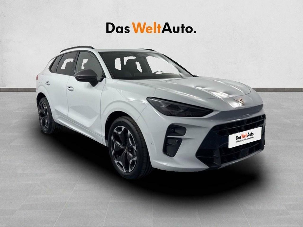 Ruedas cosmic  de segunda mano - cupra terramar 2025 /