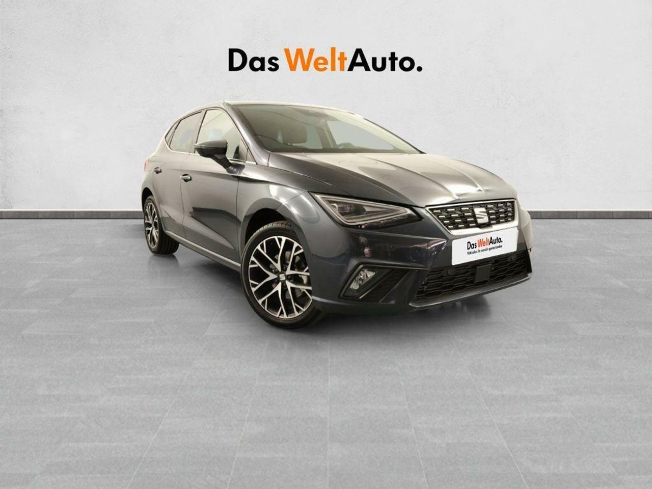 Foto seat ibiza 2024 /