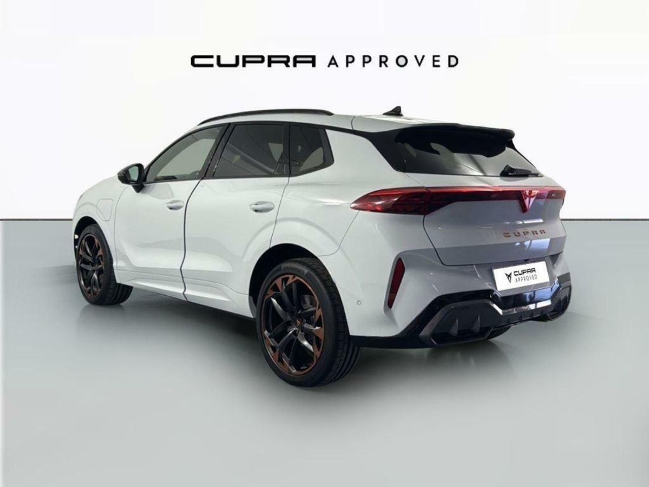 cupra terramar 2025 / foto grande (2)